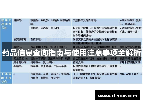 药品信息查询指南与使用注意事项全解析